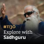 #1130 - Learn How To Improve Your Brain’s Memory & Recall | Personal Growth