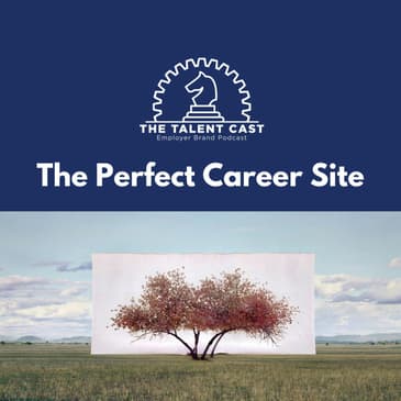 The Perfect Career Site