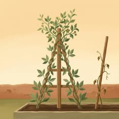 3708: [Part 2] You Can Teach An Old Dog New Tricks by Grumpus Maximus on Family Finances