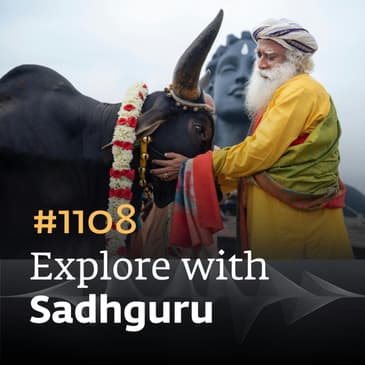 #1108 - Makara Sankranti & Pongal Time
