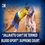 South Connect: Jallikattu Cannot Be Termed Blood Sport, Says Supreme Court