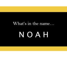 S5.29-133 - What Your Name Reveals About You - "Noah"