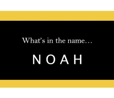 S5.29-133 - What Your Name Reveals About You - "Noah"