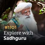 #1101 - Detox Yourself With This Yogic Superfood | Food & Health