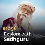 #1096 - New Year Special - Immunity Boosting Tips for a Healthier New Year