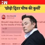 छोड़ो ट्विटर चीफ की कुर्सी', Elon Musk के पोल पर लोगों की राय