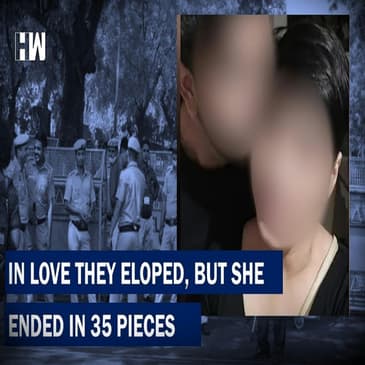 Delhi: Man Chops Live-In Partner Into 35 Pieces, Disposes Them Off Across City Over 18 Days |