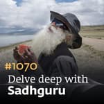 #1070 - Yogi's Breakfast for Healthful Living | Food & Health