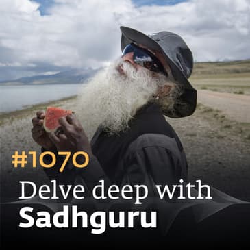 #1070 - Yogi's Breakfast for Healthful Living | Food & Health