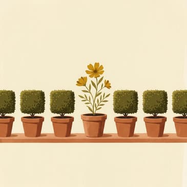 3098: 7 Simple Ways to Be More You by Courtney Carver of Be More With Less on Authentic Living