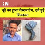 Rat Murder Case: Uttar Pradesh में चूहे का हुआ Post Mortem, दर्ज हुई शिकायत