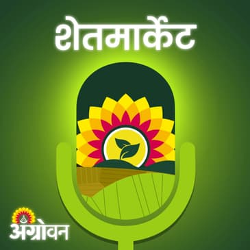 Chana Market: हरभरा उत्पादनाचे अंदाज यंदा चुकले का? | Agrowon