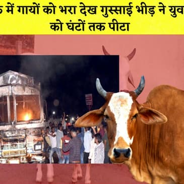 Truck में गायों को भरा देख गुस्साई भीड़ I Manoj Tiwari का Delhi Police ने किया 41हजार रुपये का चालान