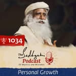 #1034 - How to Stay Motivated All the Time?