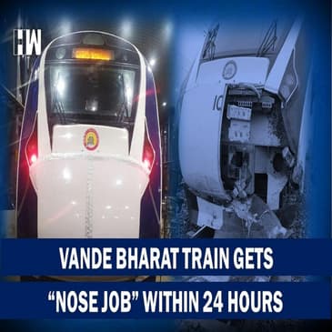 Damaged Due To Buffaloes Runover, Vande Bharat Train Gets "Nose Job" Within 24 Hours | Narendra Modi