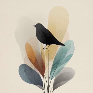 3678: Hope Is The Thing With Feathers by Krista O'Reilly-Davi-Digui of A Life In Progress on How to Be More Optimistic