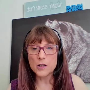 Helping Professional Women Thrive In Their Reclaimed Value with Michele Gunn