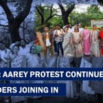 Protest Continues In Aarey For Week 12, NCP Leaders Join In | Save Aarey | NCP | Protest |