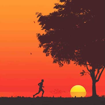 2546: How to Make Exercise a Daily Habit by Leo Babauta of Zen Habits on Habit Formation & Overall Wellness