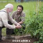 618: "30 Days Without an Accident" (TWD S4E1 Rewatch)