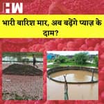 Maharashtra: भारी बारिश के चलते प्याज़ की फ़सल हुई ख़राब, क्या बढ़ेंगे प्याज़ के दाम