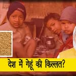 देश में गेंहू की किल्लत,Russia Ukraine War का पड़ा असर