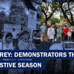 Save Aarey Protest Continues For 10th Week, Number Of Protestors Thin Amid Festive Week|
