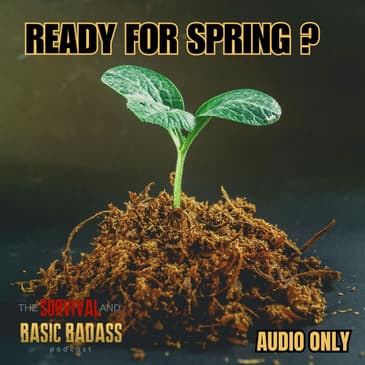 Starting Seeds for Homesteading: Everything You Need to Know