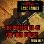The Perfect AR-15 For Your Budget