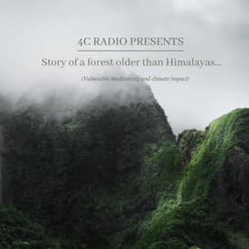 Story of a Forest Older than Himalayas | S2 Ep 5