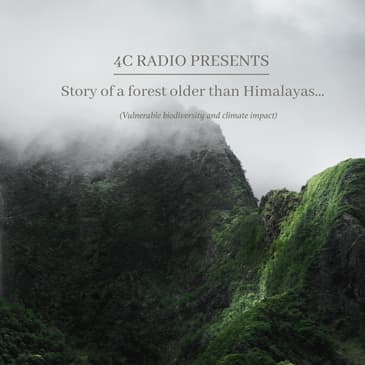 Story of a Forest Older than Himalayas | S2 Ep 5