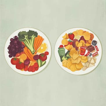 2767: My Take on the New Ultra Processed Foods Study by Danielle Omar of Food Confidence on Healthy Living Habits