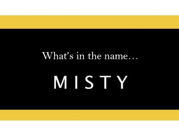 S6.05-139 - "Misty" - Marriage Name Changes and Personal Identity
