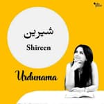 Don't Let the Bitterness of Reality Take Away Life's 'Shireen-ness'