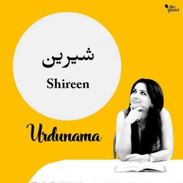 Don't Let the Bitterness of Reality Take Away Life's 'Shireen-ness'
