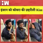 Karnataka में इंसान को King Cobra की ज़हरीली Kiss