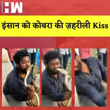 Karnataka में इंसान को King Cobra की ज़हरीली Kiss
