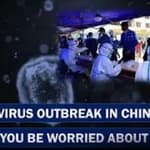 What Is Novel Langya Virus? All You Need To Know About The Virus| China| Coronavirus| Monkeypox