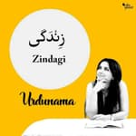 Aaj ki Shaam, 'Zindagi' ke Naam: Celebrating the Beautiful Thing Called Life
