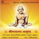 भाग ६९ - माझा शेगांव दर्शनाचा योग