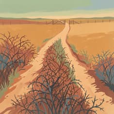 Emotional Reset | Walking Through a Relationship Conflict: An 11-Minute 1,100 Steps Processing Walk