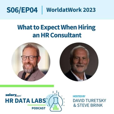 Steve Brink and David Turetsky - WorldatWork 2023 - What to Expect When Hiring an HR Consultant