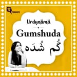 Gumshuda: When What's Lost Isn't Just a Person