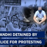 Rahul Gandhi Detained Amid Protest Against ED Summons To Sonia Gandhi| Delhi Police| ED| BJP