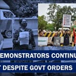 Enviornment Activits Gather In Aarey Colony To Protest Against Metro Car Shed | Save Aarey Forest |