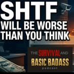 Societal Collapse Looks Nothing Like You Expect