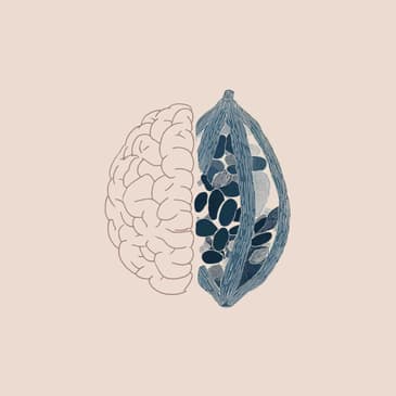 3085: Chocolate. A Boost For Brain Health? by Dr. Jenny Brockis on How to Improve Memory, Focus and Mood