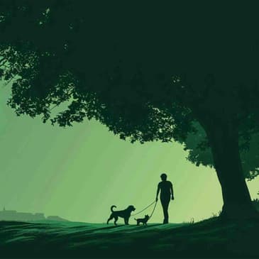 2538: Three Simple Ways to Lose Fat by Nia Shanks on Optimizing Health & Cardiovascular Fitness