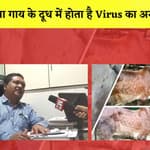 जानवरों में फैलाने वाला Lumpy Skin Disease क्या है? Dr Raju Gaikwad से समझिए