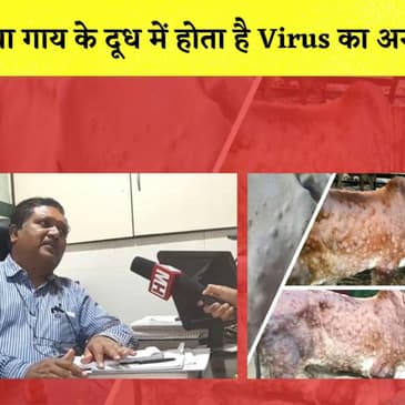 जानवरों में फैलाने वाला Lumpy Skin Disease क्या है? Dr Raju Gaikwad से समझिए